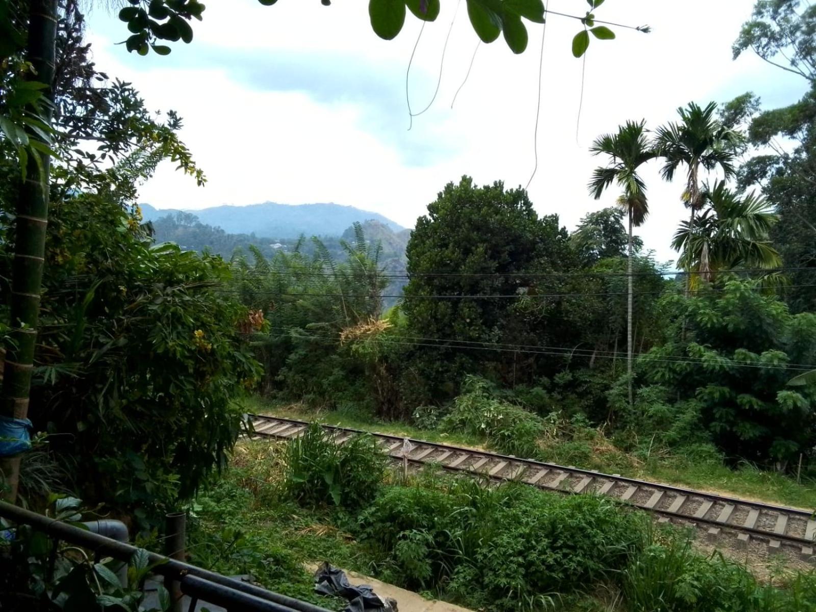 Charming View Homestay Ella Exterior photo