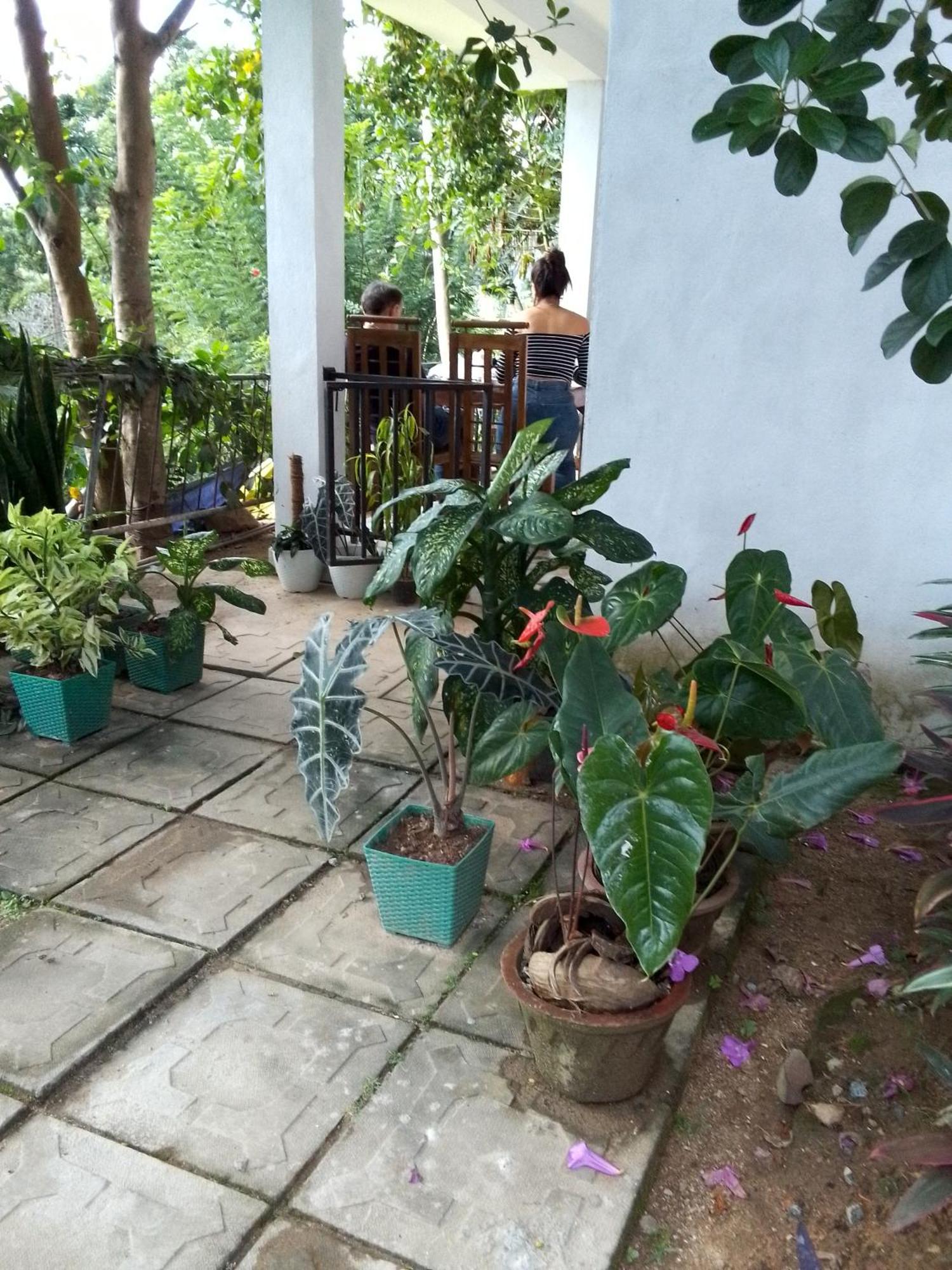 Charming View Homestay Ella Room photo