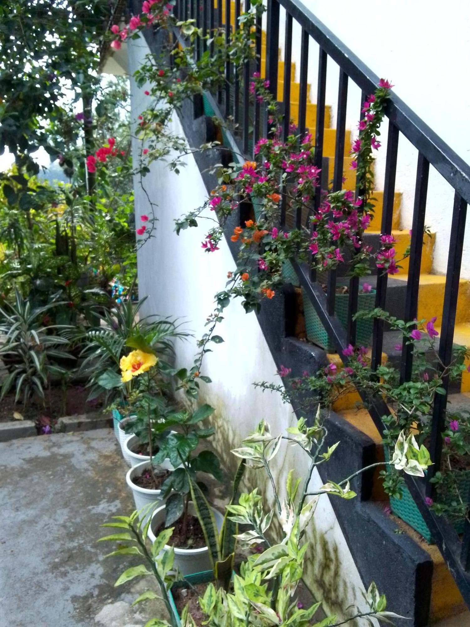 Charming View Homestay Ella Exterior photo